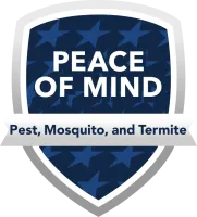 peace of mind package icon