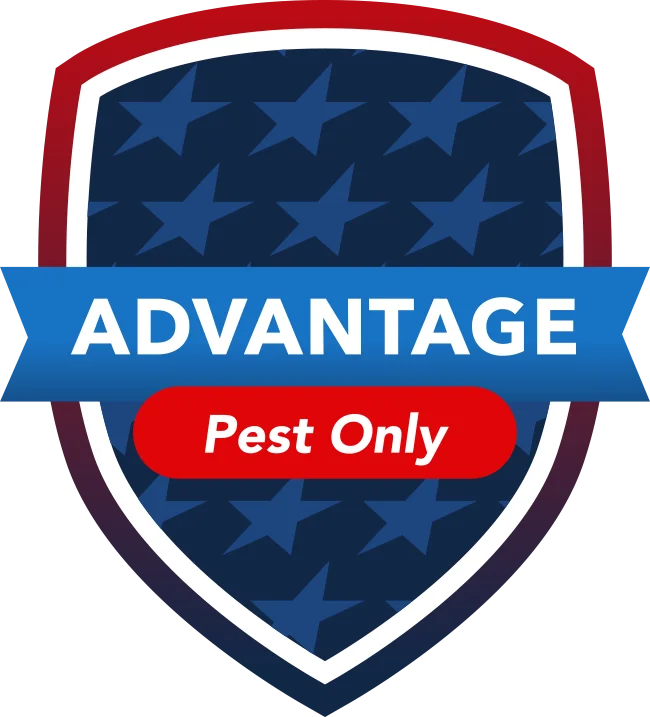 Advantage Plan icon